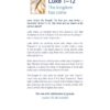 Luke 1-12: The kingdom has come