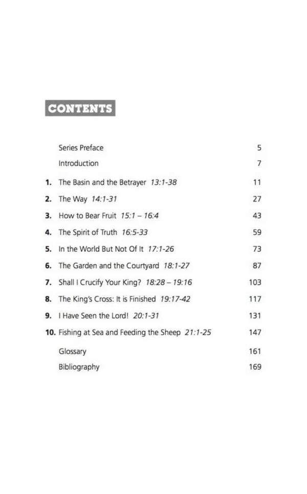 John 13-21 For You
