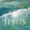 Surprised by Jesus
