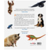 All about Bible Animals