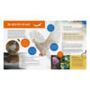 All about Bible Animals