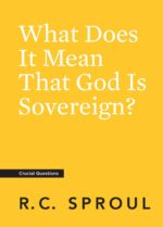 What Does It Mean That God is Sovereign?