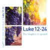 Luke 12-24