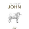 John's Gospel (ESV)