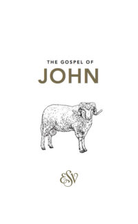 John's Gospel (ESV)