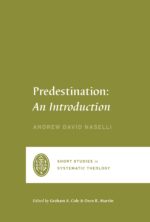 Predestination: An Introduction