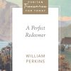 A Perfect Redeemer